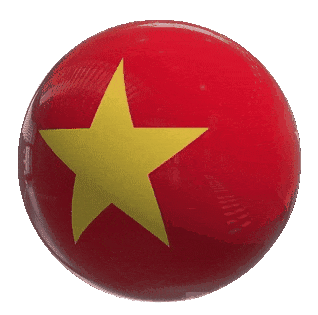 VIỆT NAM flag